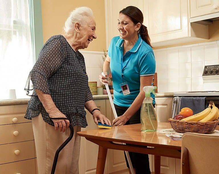 Homemaker Services